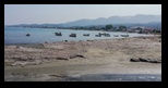 Corfu - Roda -01-09-2019 - Bogdan Balaban